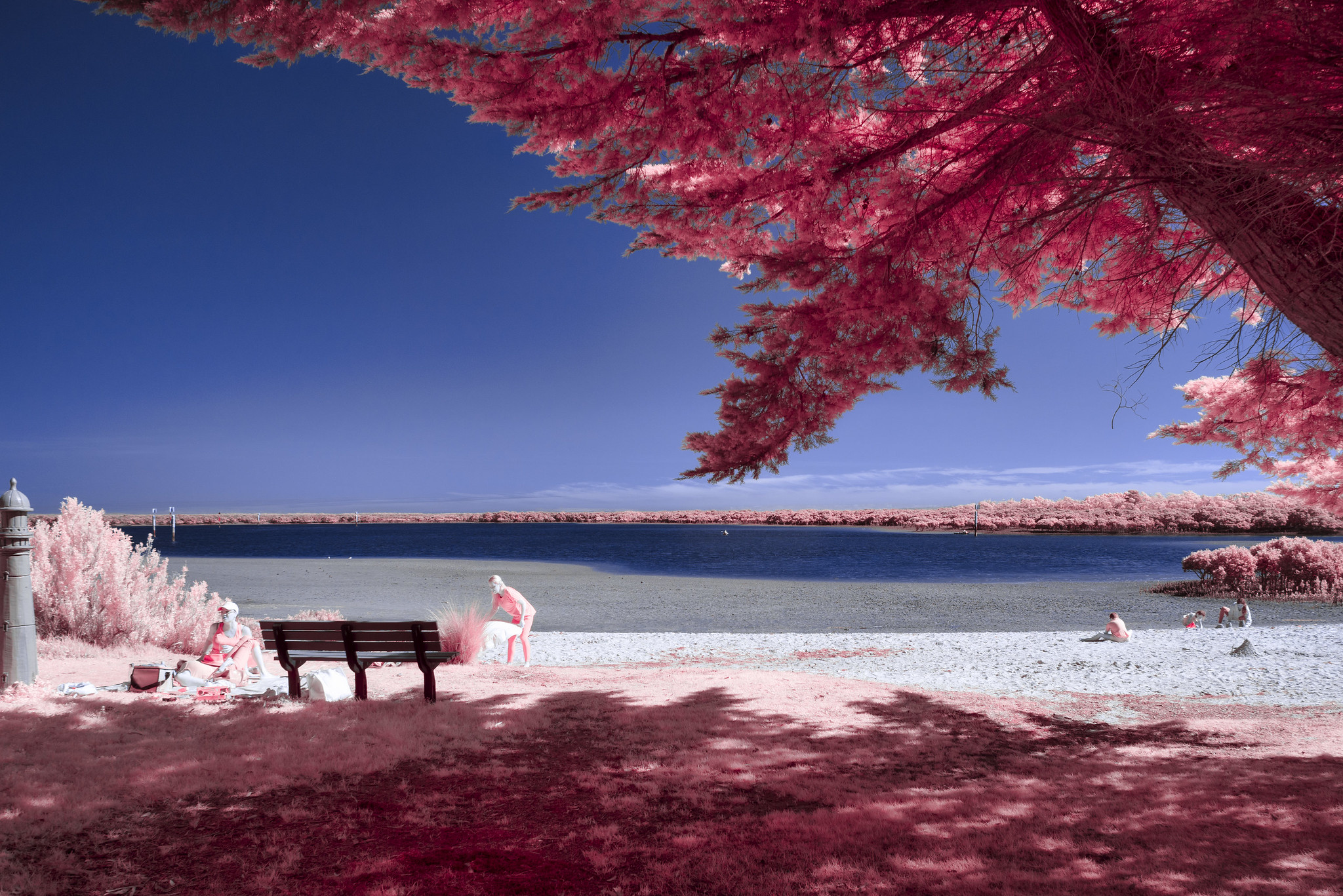 Infrared picnic