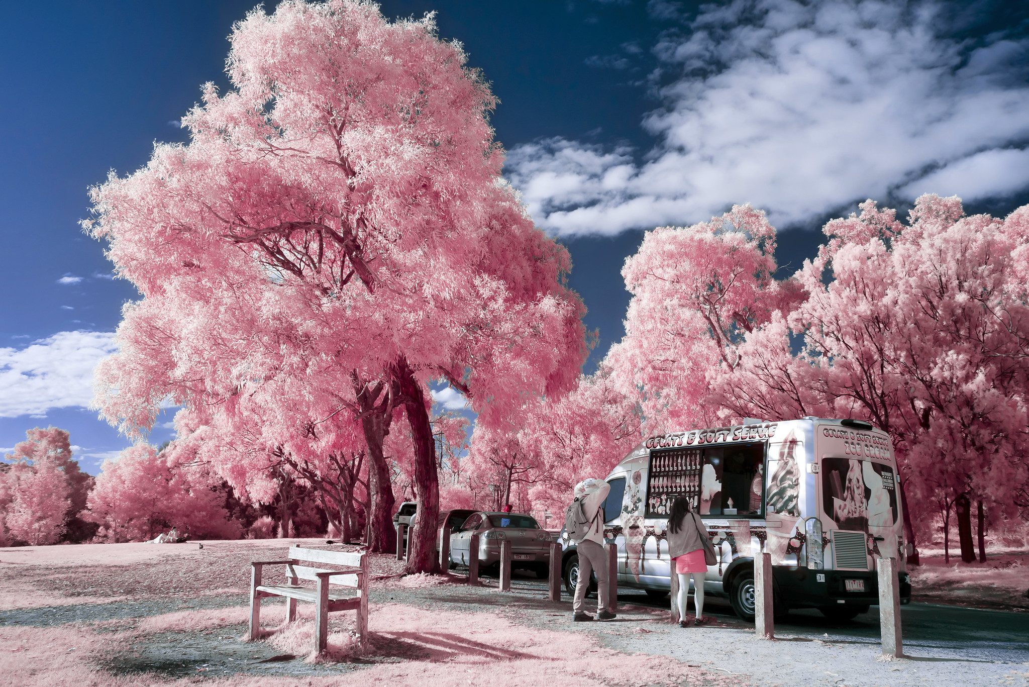 Infrared Lake and Japanese Wisteria