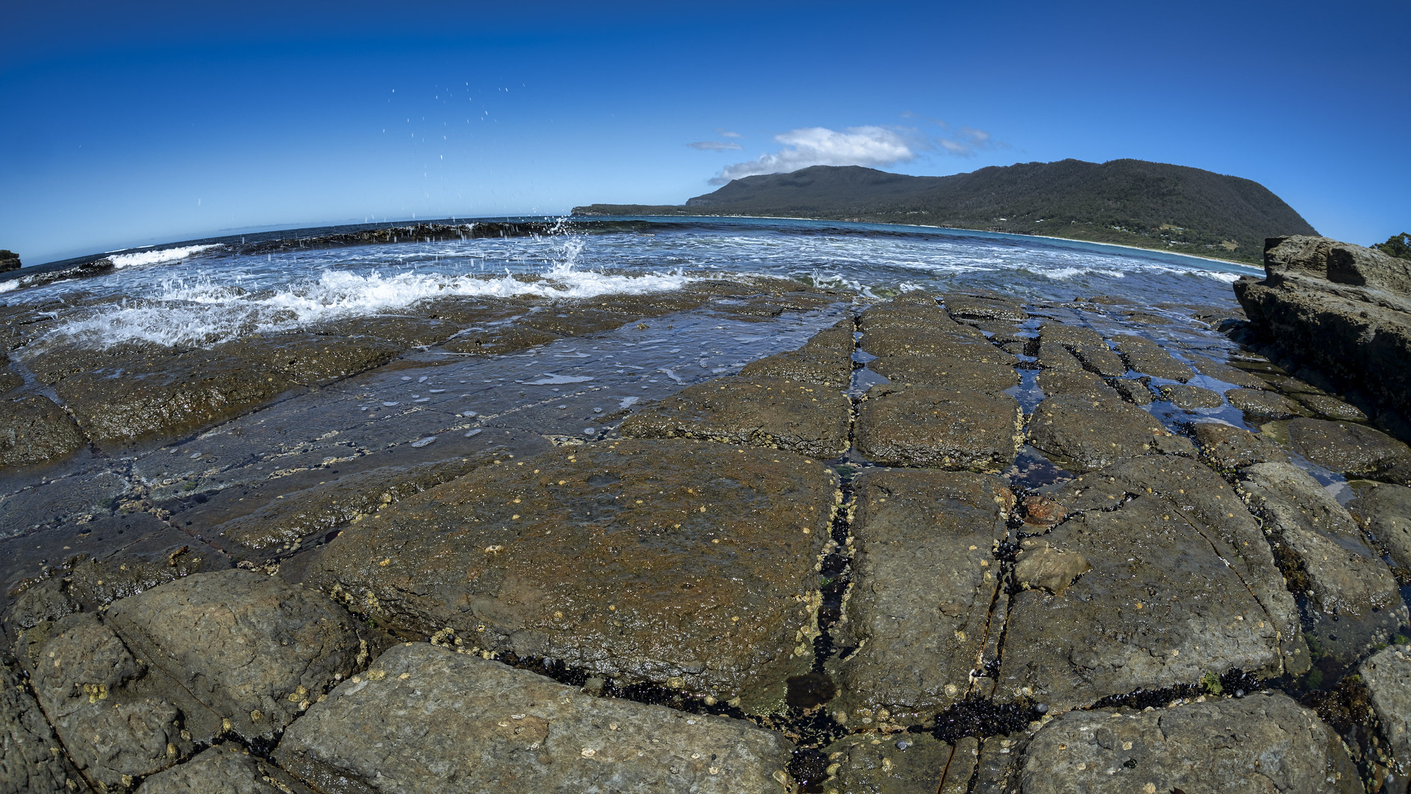 Mountains, ocean, and vineyard. Tasmanian Album Number 9
