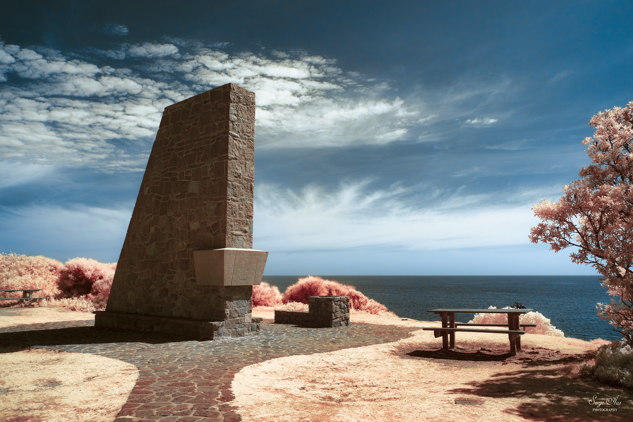 Mornington Dogs and the Infrared Pier