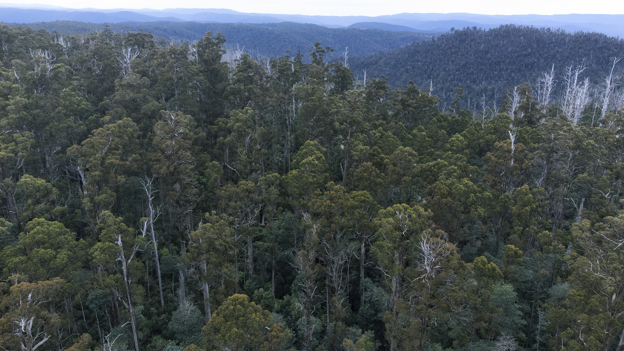 The Legend of the Cambarville Ghost