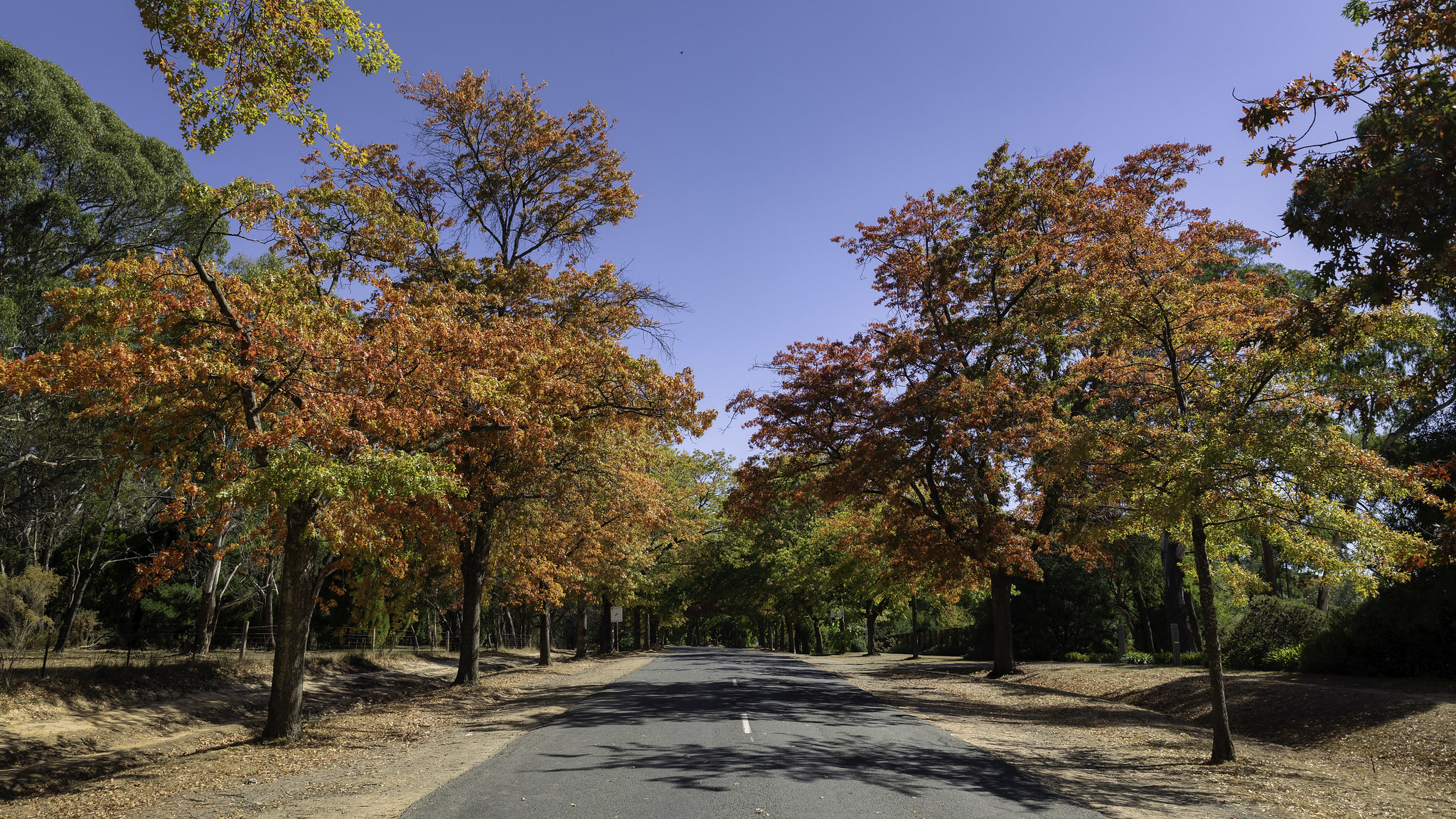Mount Macedon