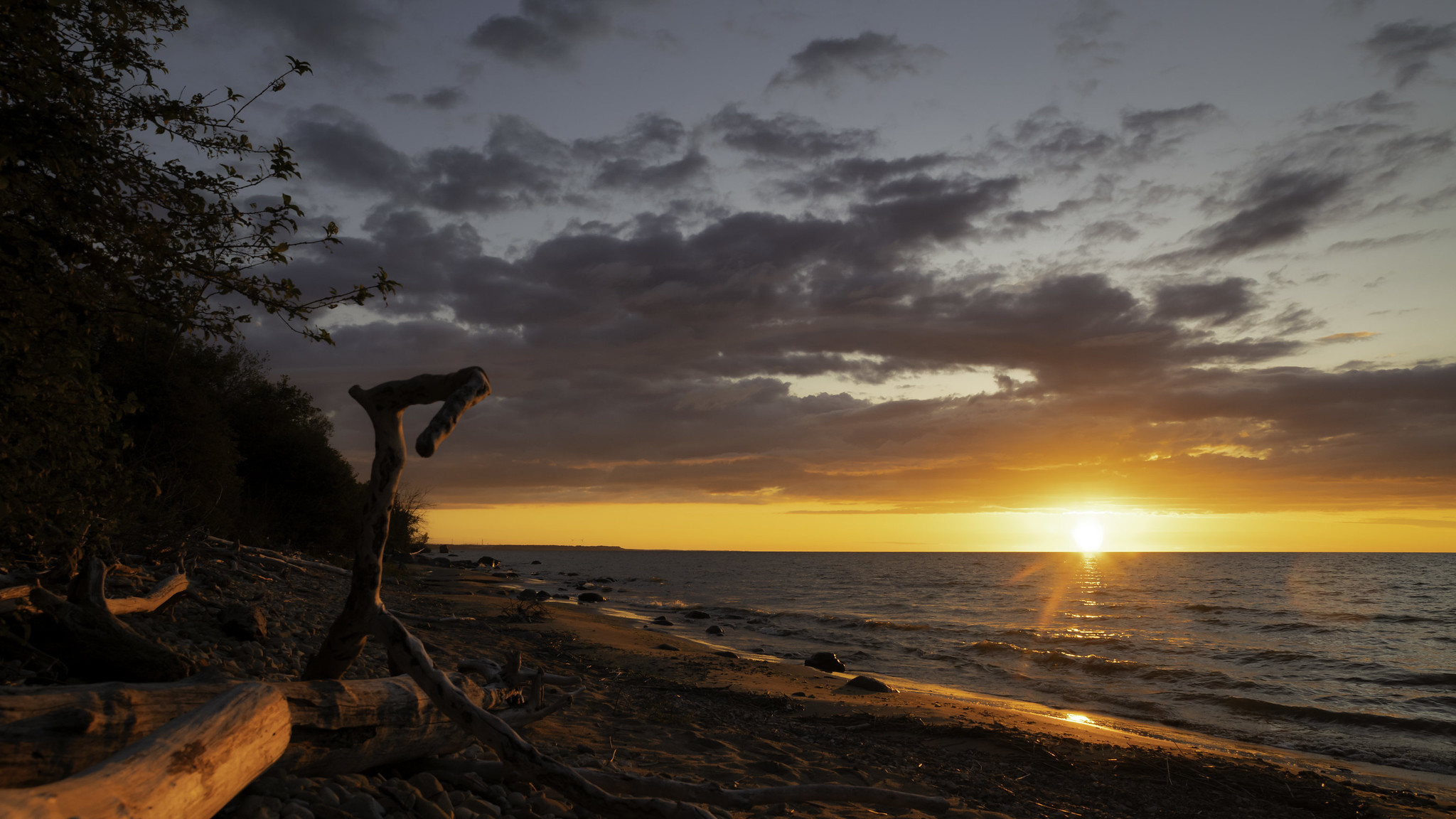 Estonian Album No. 6: Waterfall and Seashore.
