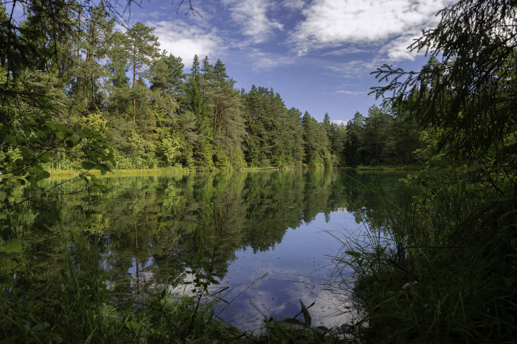 Estonian Diary. Part 8. Sagadi Manor, Lake Sinijärv, and the Springs