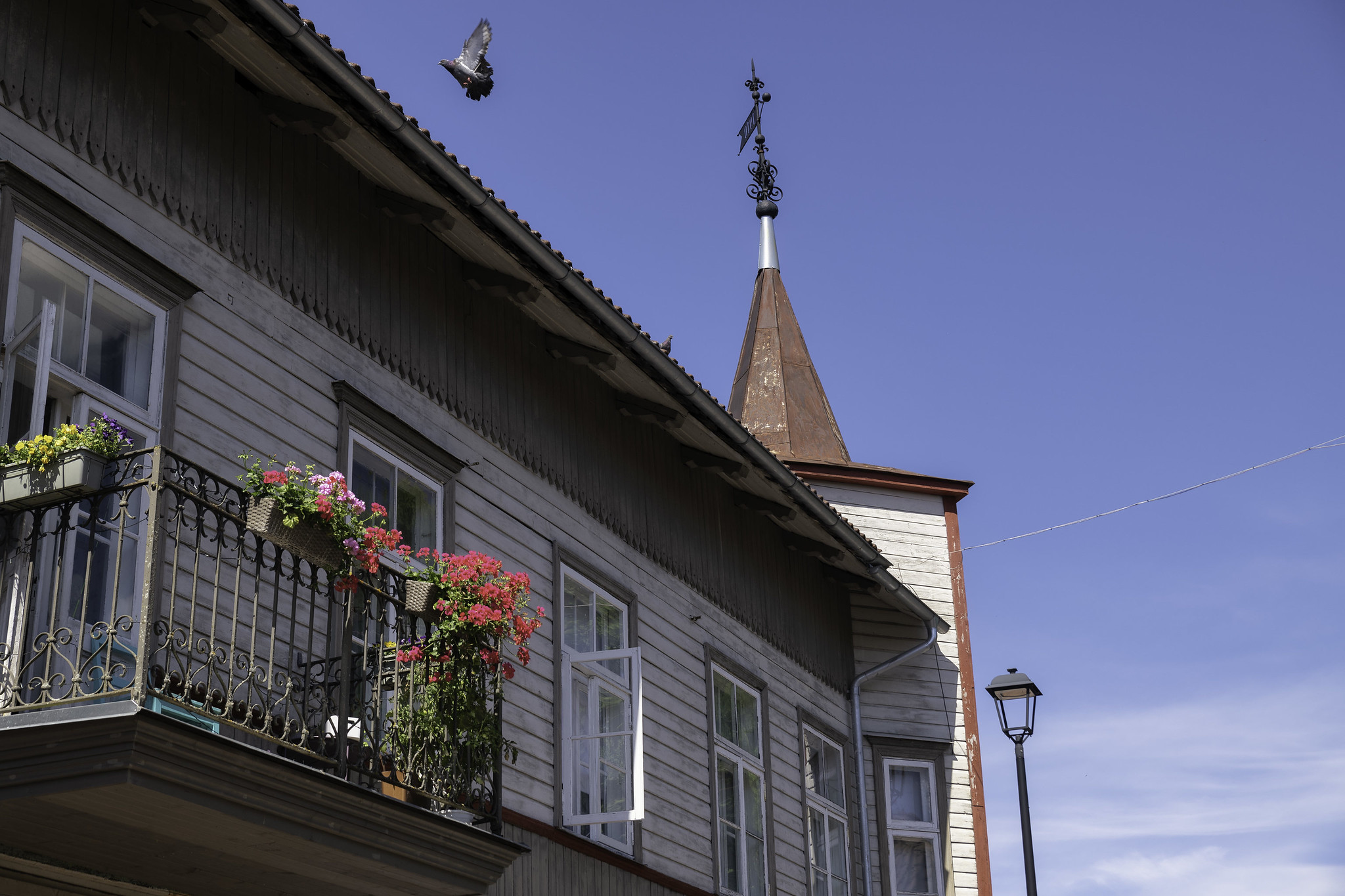 Estonian Diary, Part 12: Viljandi.