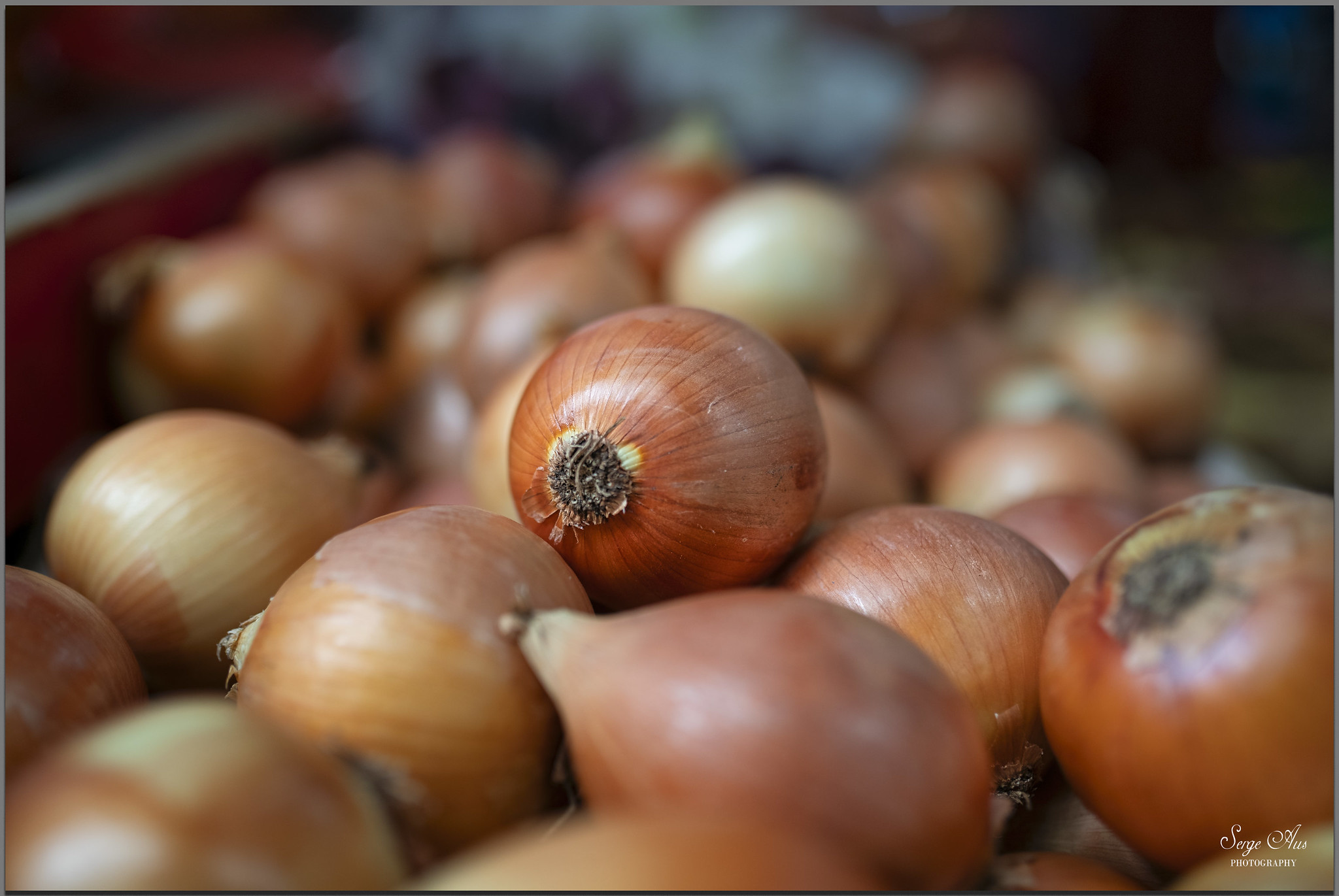 Queen Victoria Market and The Library