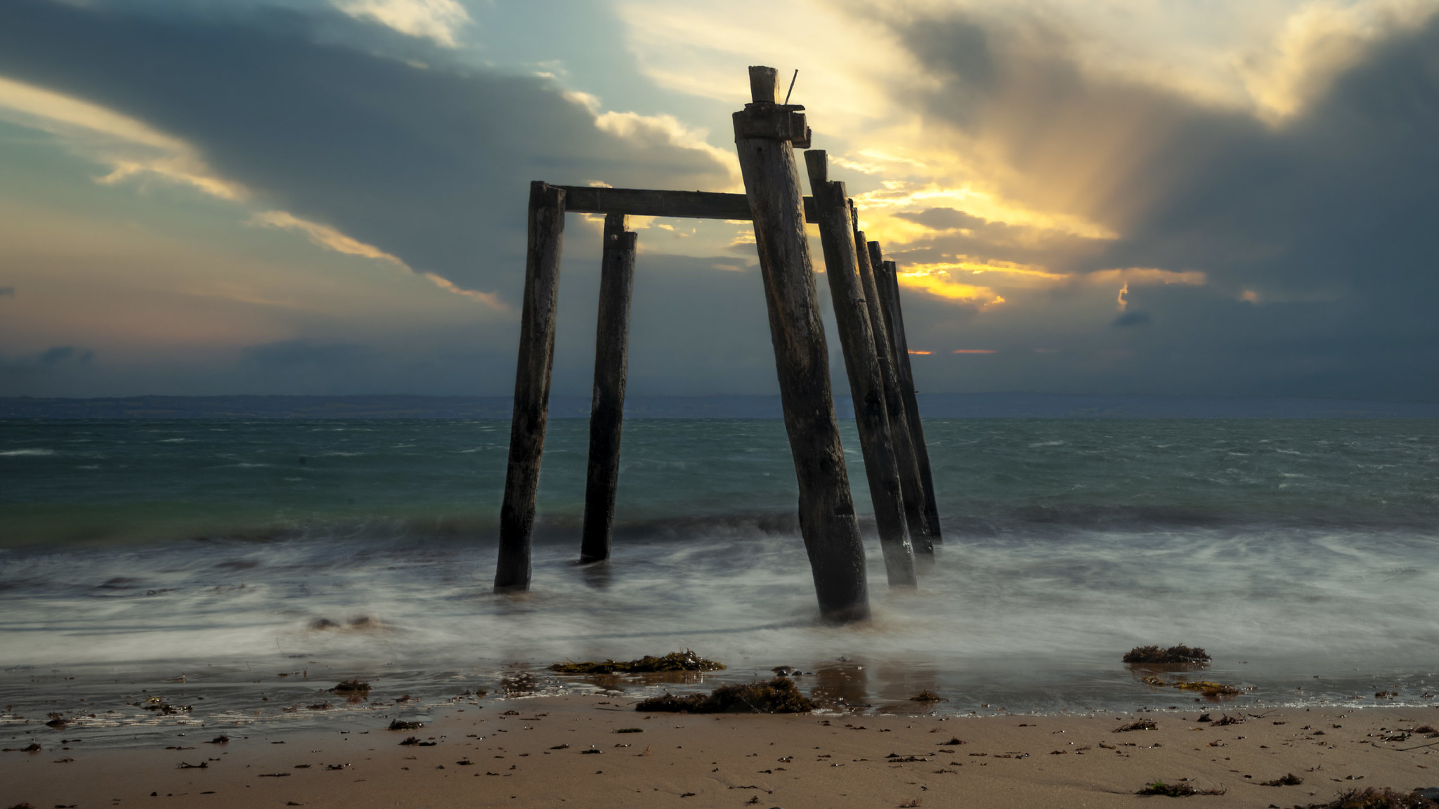 Photos from Cat Bay and Illegal Garden Tools