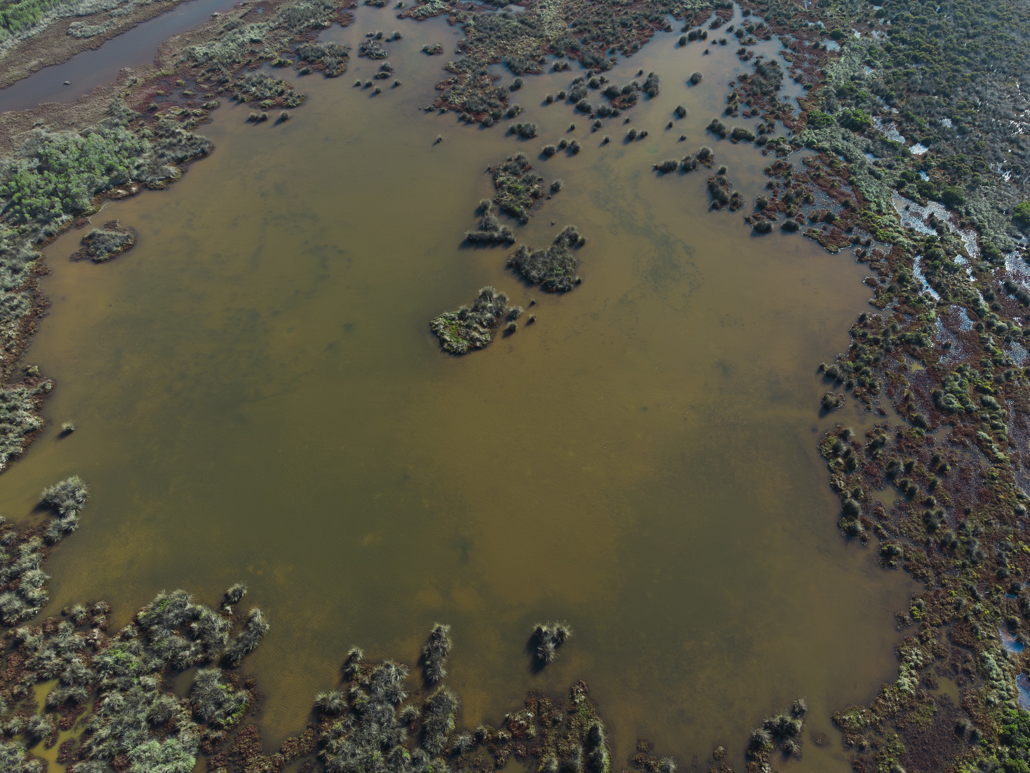 The Bittern Wetlands and the missing submarine