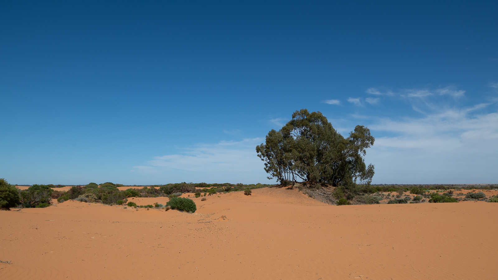 Mildura holiday – Oddities of Nature