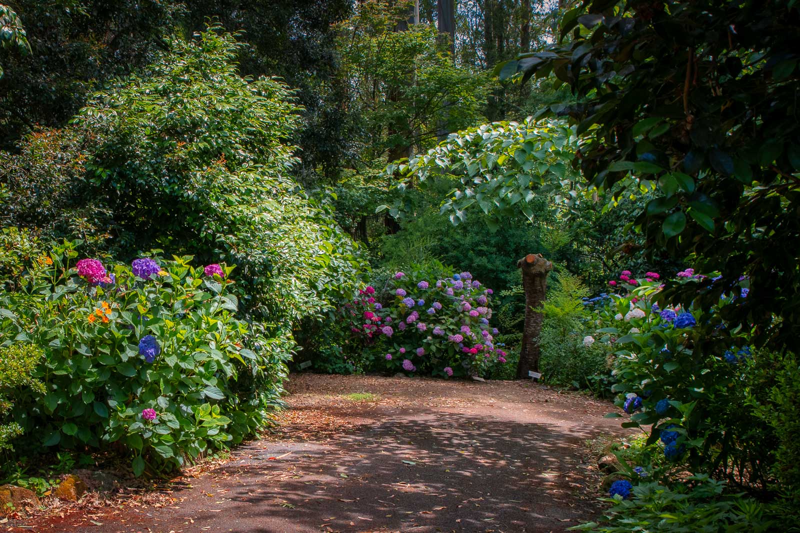 The Garden and The City